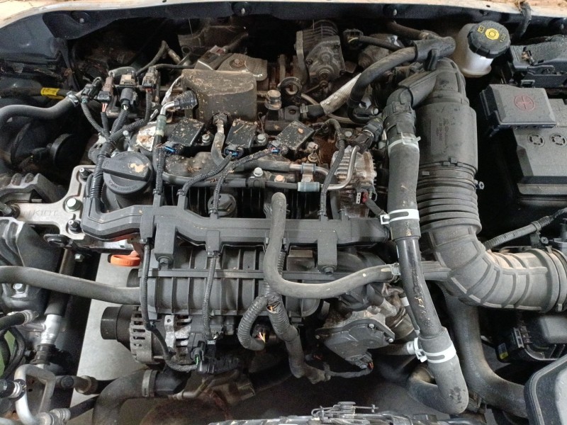 hyundai kona (os, ose, osi) del año 2021