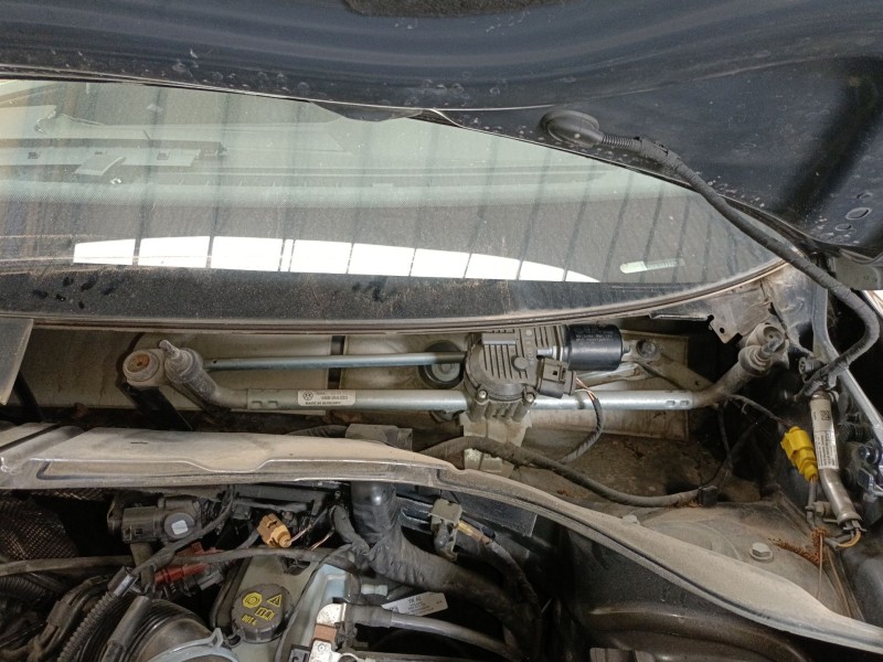 Recambio de motor limpia delantero para volkswagen tiguan (ad1, ax1) 2.0 tdi referencia OEM IAM 5NB955119  