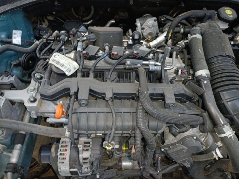 kia ceed (cd) del año 2024