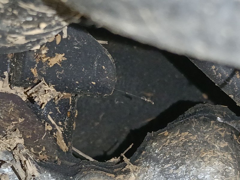 Recambio de motor arranque para dacia dokker furgoneta/monovolumen 1.5 dci 75 / blue dci 75 (fejw, feah) referencia OEM IAM   