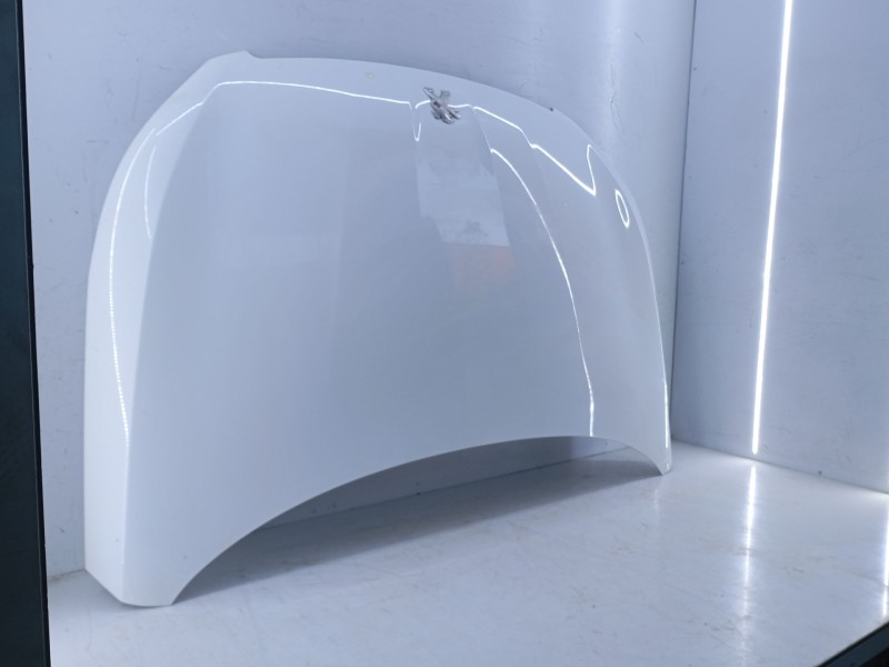 Recambio de capot para peugeot 308 ii (lb_, lp_, lw_, lh_, l3_) 1.6 hdi referencia OEM IAM   