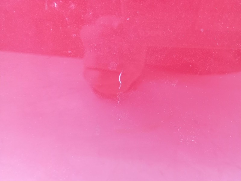 Recambio de capot para kia ceed (cd) 1.4 t-gdi referencia OEM IAM   C2-14