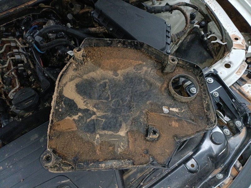 Recambio de tapa motor para bmw 3 (f30, f80) 318 d referencia OEM IAM   