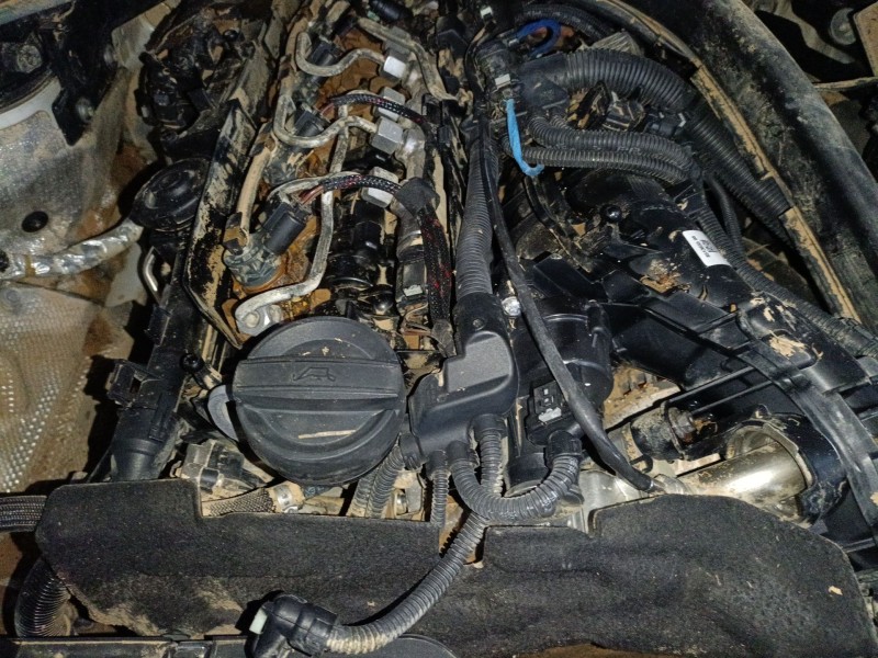 Recambio de motor completo para bmw 3 (f30, f80) 318 d referencia OEM IAM B47D20A  