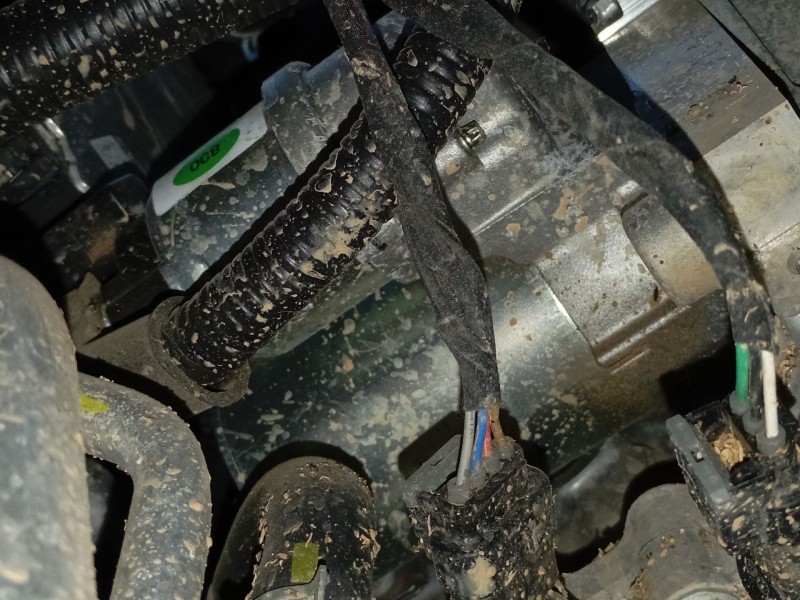 Recambio de motor arranque para kia stonic (yb) 1.0 t-gdi eco-dynamics+ referencia OEM IAM   