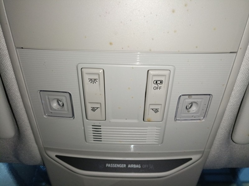 Recambio de luz interior para skoda fabia iv (pj3) 1.0 tsi referencia OEM IAM   