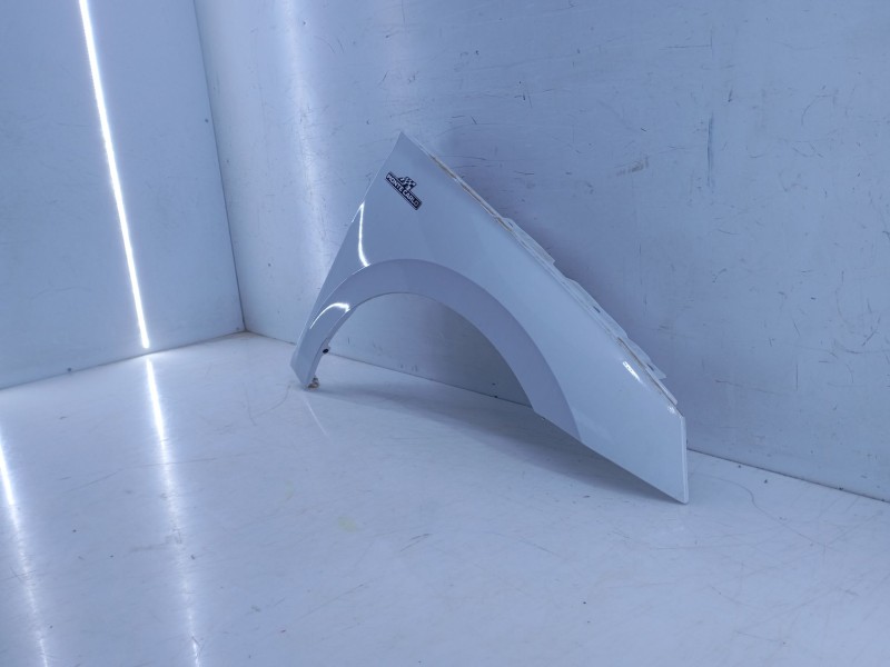 Recambio de aleta delantera derecha para skoda scala (nw1) 1.5 tsi referencia OEM IAM   