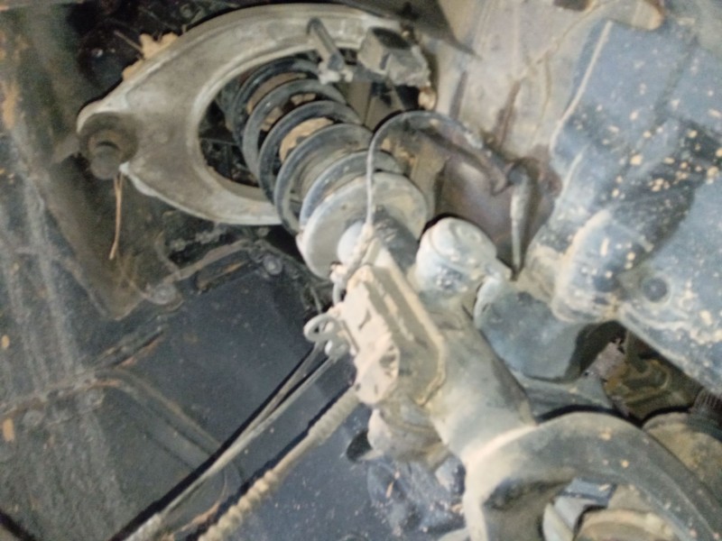 Recambio de amortiguador delantero izquierdo para bmw 5 touring (f11) 530 d xdrive referencia OEM IAM   