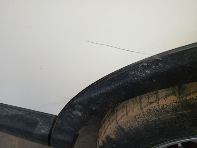 Recambio de puerta trasera izquierda para nissan qashqai ii (j11, j11_) 1.6 dci referencia OEM IAM   