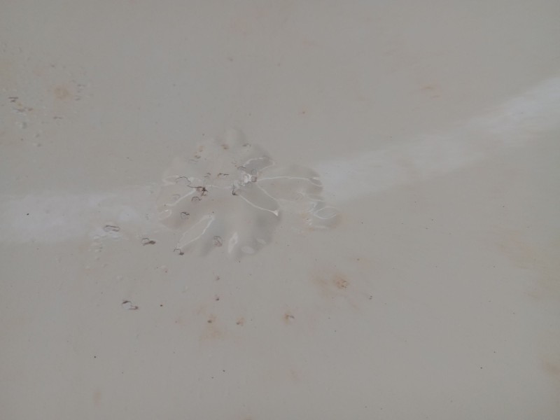 Recambio de capot para nissan qashqai ii (j11, j11_) 1.6 dci referencia OEM IAM   