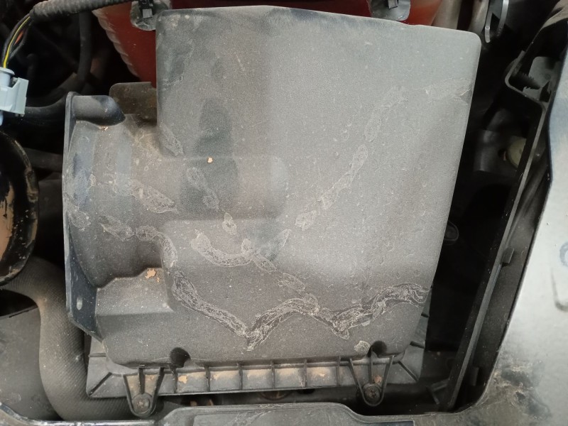 Recambio de filtro aire para jaguar f-pace (x761) 3.0 sdv6 awd referencia OEM IAM   