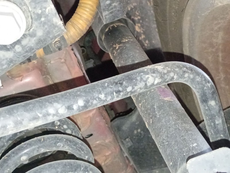 Recambio de amortiguador trasero derecho para renault captur ii (hf_) e-tech 160 referencia OEM IAM   