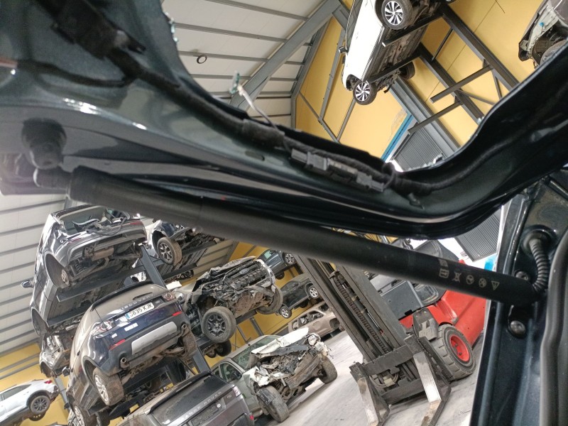 Recambio de amortiguador porton trasero izquierdo para cupra formentor (kmp) 1.5 tsi referencia OEM IAM 5FF827851D  