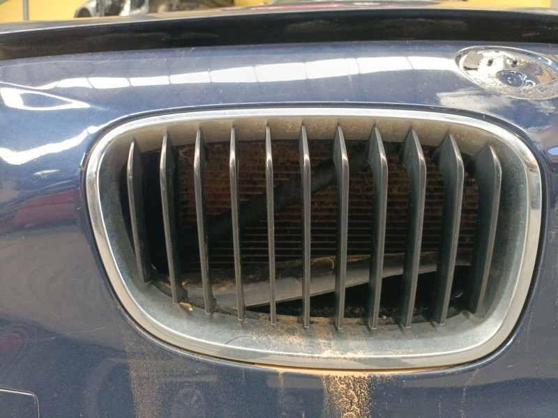Recambio de rejilla delantera para bmw 1 (f20) 118 d referencia OEM IAM   