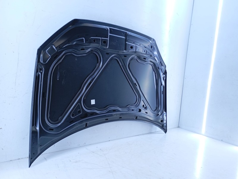 Recambio de capot para volkswagen polo (9n3) referencia OEM IAM   E4-A1-2