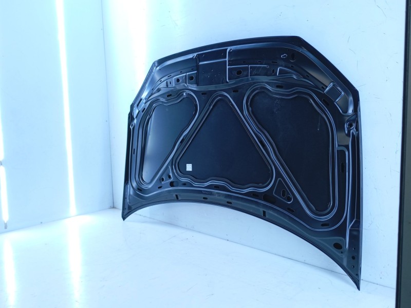Recambio de capot para volkswagen polo (9n3) referencia OEM IAM   E4-A1-2