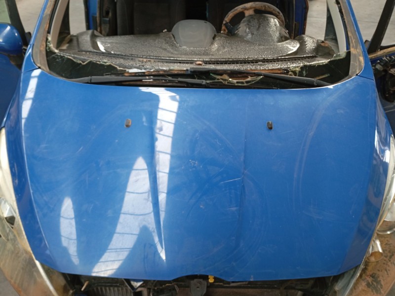 Recambio de capot para ford b-max (jk) 1.0 ecoboost referencia OEM IAM   