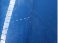 Recambio de capot para ford b-max (jk) 1.0 ecoboost referencia OEM IAM    2