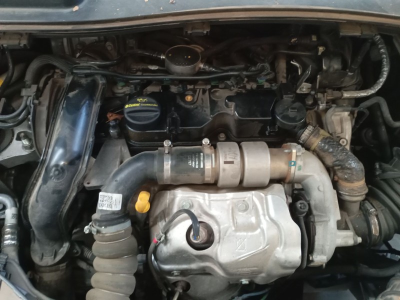 ford kuga ii (dm2) del año 2017