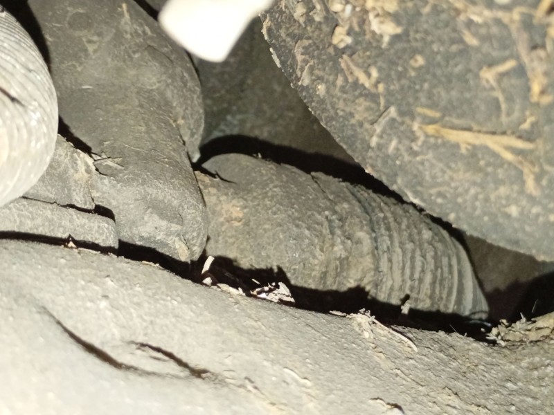 Recambio de cremallera direccion para citroën berlingo multispace (b9) 1.6 hdi 75 16v referencia OEM IAM   