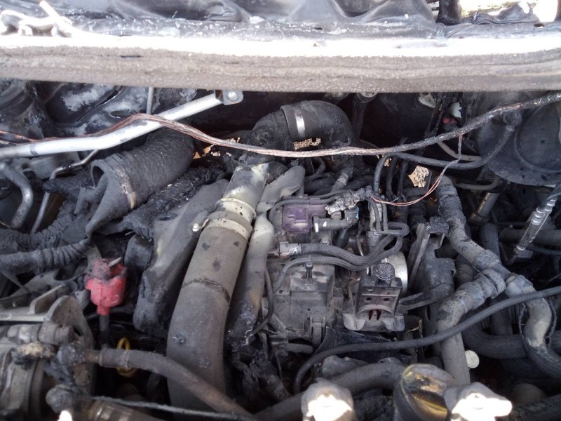 renault master kasten del año 2020