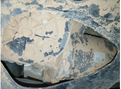 CREMALLERA DIRECCION 