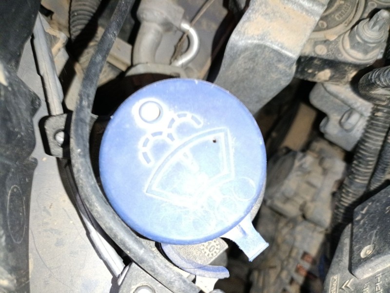 Recambio de deposito limpia para ford c-max ii (dxa/cb7, dxa/ceu) 1.6 tdci referencia OEM IAM   