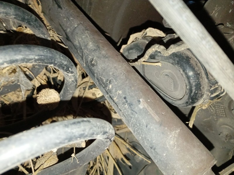 Recambio de amortiguador trasero derecho para mercedes-benz clase b sports tourer (w246, w242) b 180 cdi / d (246.212) referenci