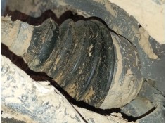 TRANSMISION DELANTERA DERECHA 