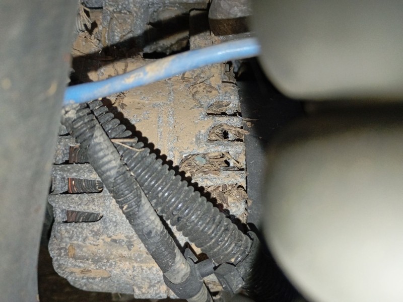 Recambio de alternador para ford focus iii turnier 1.6 tdci referencia OEM IAM   