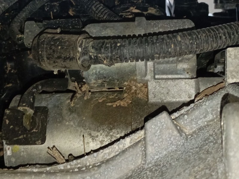 Recambio de motor arranque para kia rio iv (yb, sc, fb) 1.25 referencia OEM IAM   