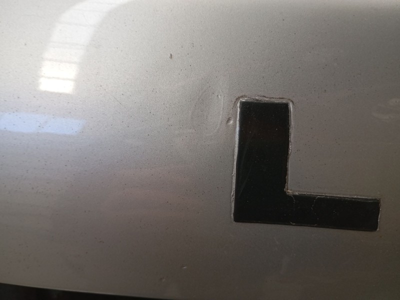 Recambio de capot para land rover discovery ii (l318) 2.5 td5 4x4 referencia OEM IAM   