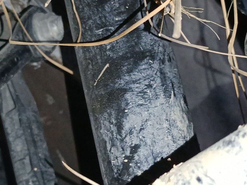 Recambio de amortiguador trasero derecho para bmw 3 gran turismo (f34) 320 d referencia OEM IAM   