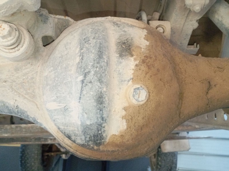 Recambio de diferencial trasero para land rover discovery ii (l318) 2.5 td5 4x4 referencia OEM IAM   