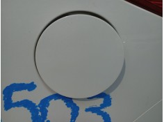 TAPA EXTERIOR COMBUSTIBLE 