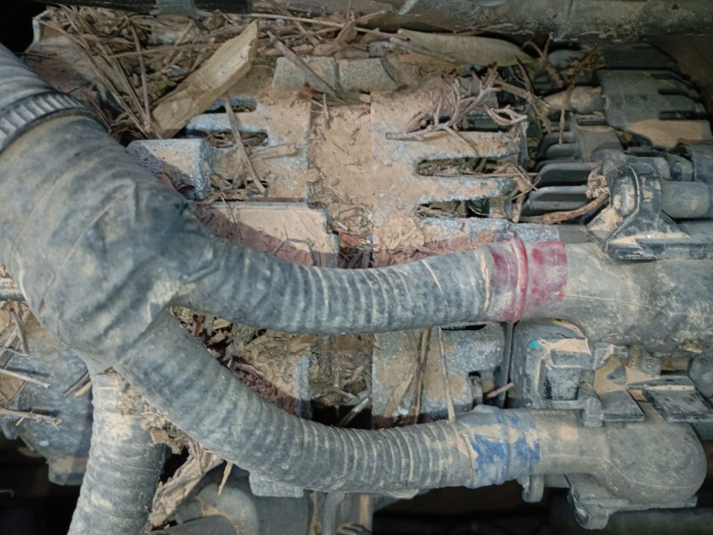 Recambio de alternador para kia stonic (yb) 1.0 t-gdi referencia OEM IAM   