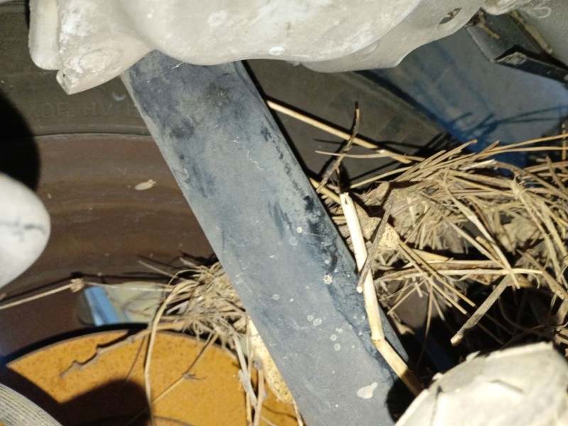 Recambio de amortiguador trasero izquierdo para peugeot 208 i (ca_, cc_) 1.6 hdi referencia OEM IAM   