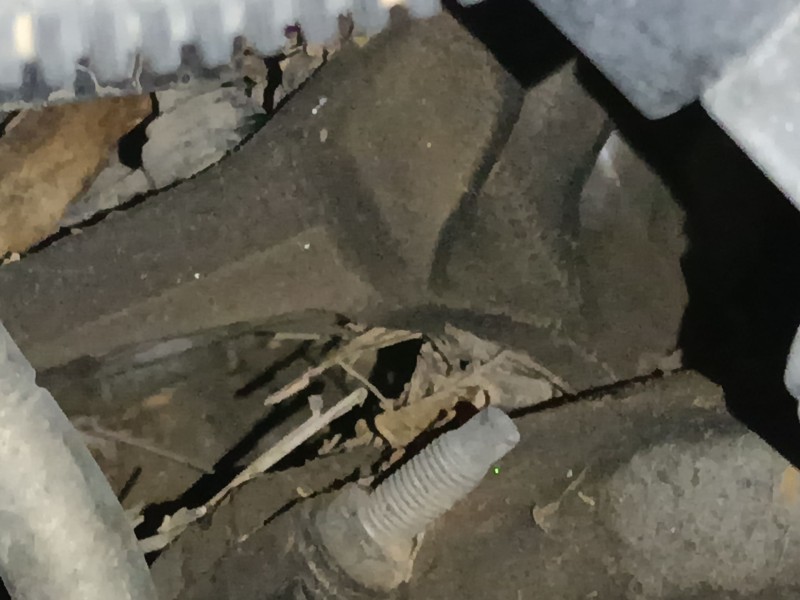 Recambio de motor arranque para peugeot 308 ii (lb_, lp_, lw_, lh_, l3_) 1.6 hdi referencia OEM IAM   