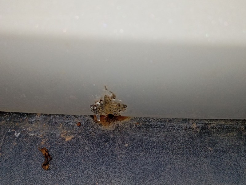 Recambio de porton trasero para peugeot 3008 ii suv (mc_, mr_, mj_, m4_) 1.6 bluehdi 120 referencia OEM IAM   