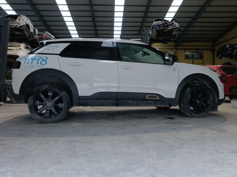 citroën c4 cactus del año 2019