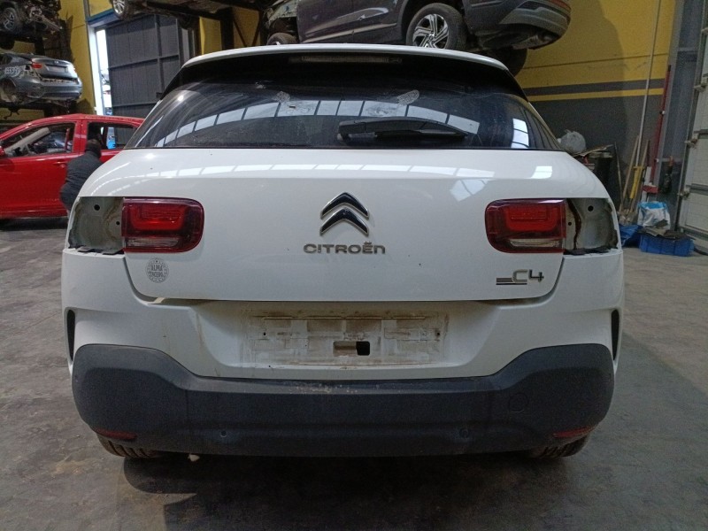 citroën c4 cactus del año 2019