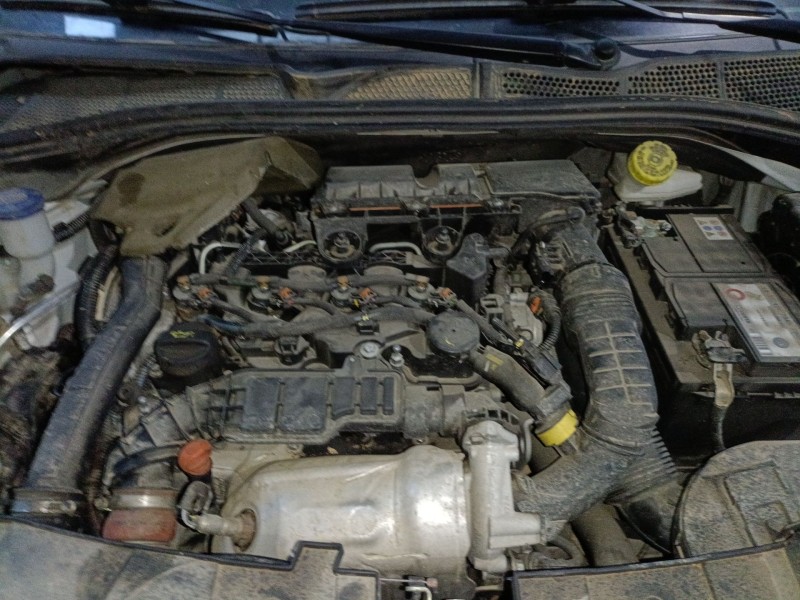 citroën c4 cactus del año 2019