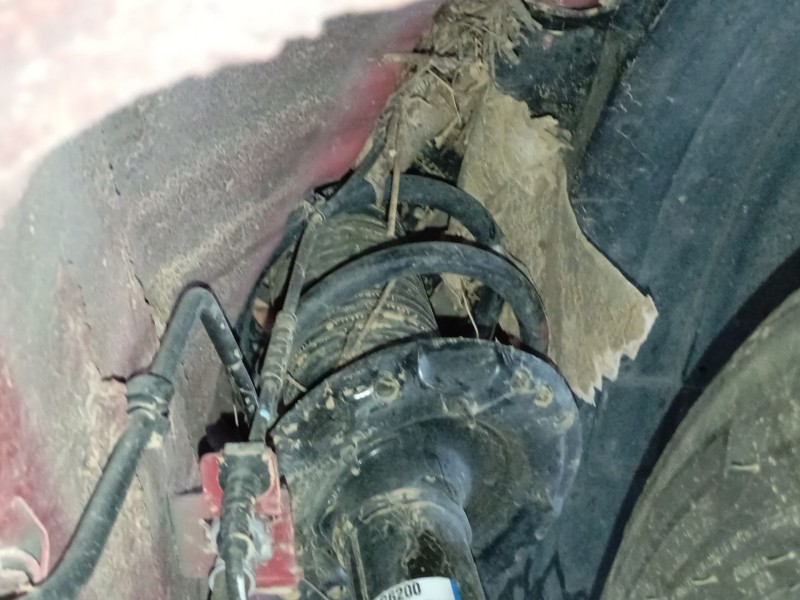 Recambio de amortiguador delantero derecho para kia picanto iii (ja) 1.0 referencia OEM IAM   