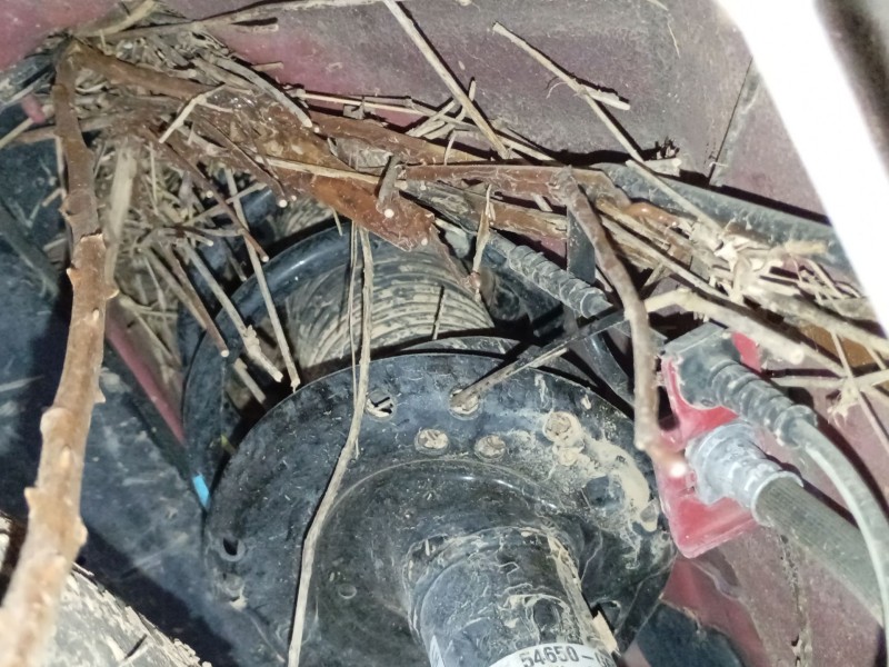 Recambio de amortiguador delantero izquierdo para kia picanto iii (ja) 1.0 referencia OEM IAM   