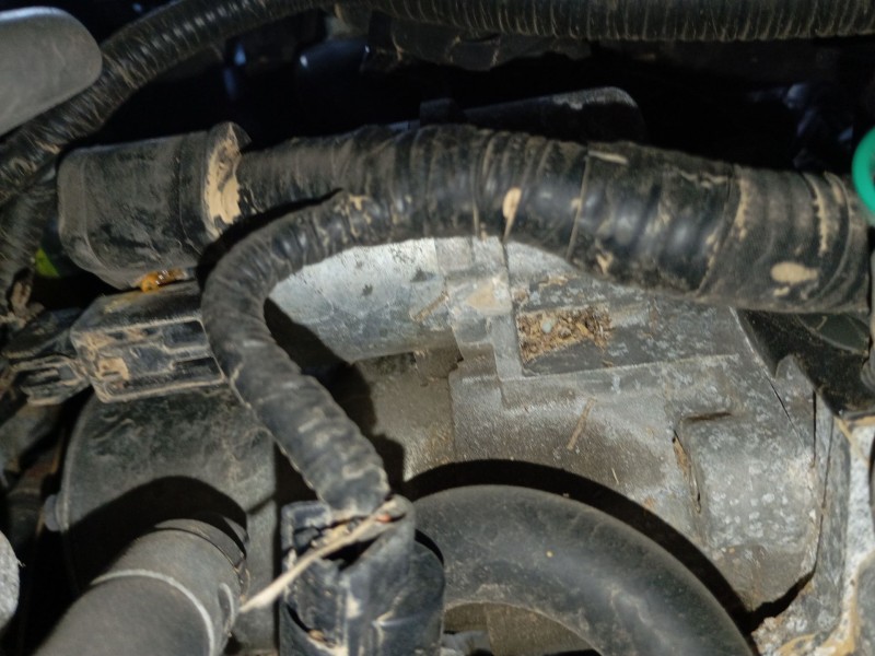 Recambio de motor arranque para hyundai i30 (pde, pd, pden) 1.0 t-gdi referencia OEM IAM   