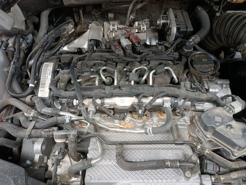 volkswagen tiguan (ad1, ax1) del año 2024