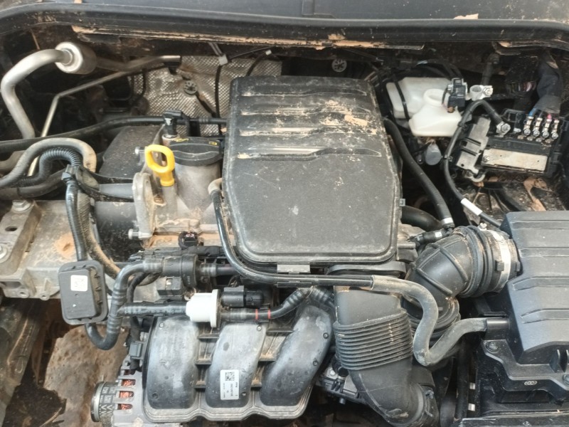 seat ibiza v (kj1, kjg) del año 2019