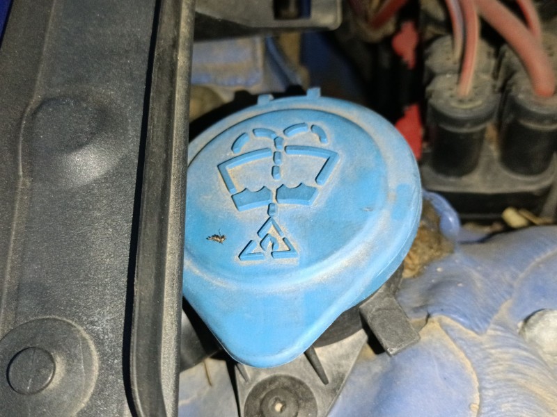 Recambio de deposito limpia para bmw 1 (f20) 116 d referencia OEM IAM   