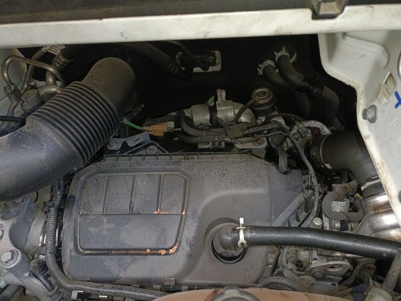 fiat talento autobús (296_) del año 2016