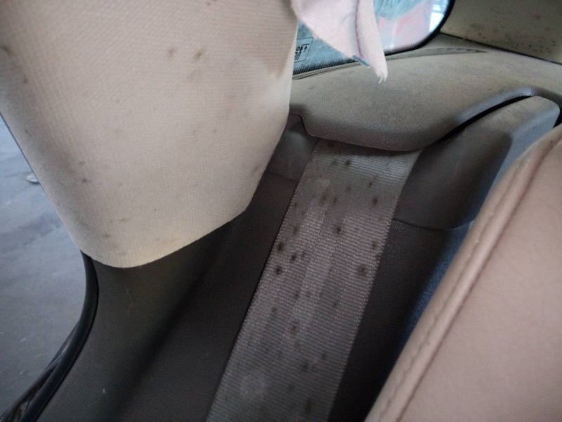 Recambio de cinturon seguridad trasero derecho para audi q5 (8r) 2.0 tdi advance quattro (130kw) referencia OEM IAM   